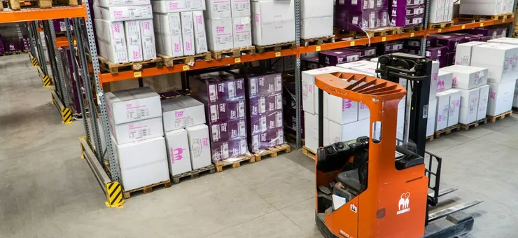 Eco-Friendly Packaging Trends 2024 | Expert Guide