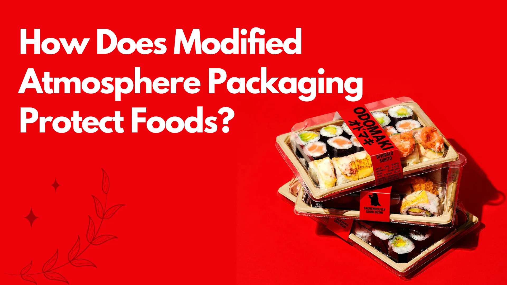 How Modified Atmosphere Packaging Extends Food Freshness