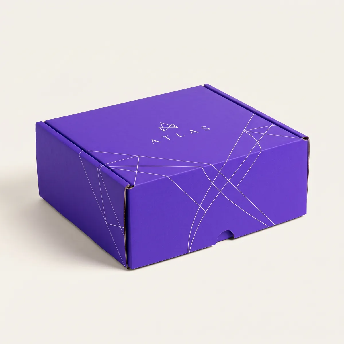 Custom Large Mailer Boxes by Packaging Hippo